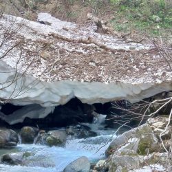 雪の残る渓流でイワナ爆釣 ～九頭竜川水系～